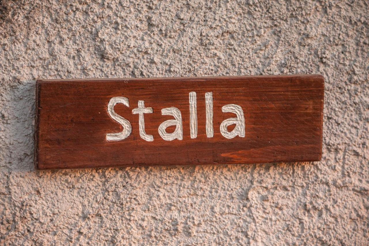 B&B La Mortella Albanella Kültér fotó